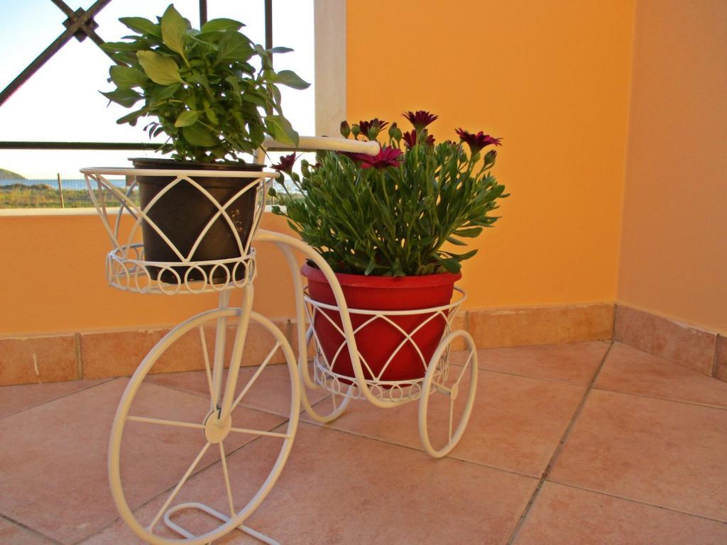 Alkiones Apartment Plati  Ngoại thất bức ảnh